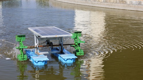 Solar Pond Management Absolute Aquatics